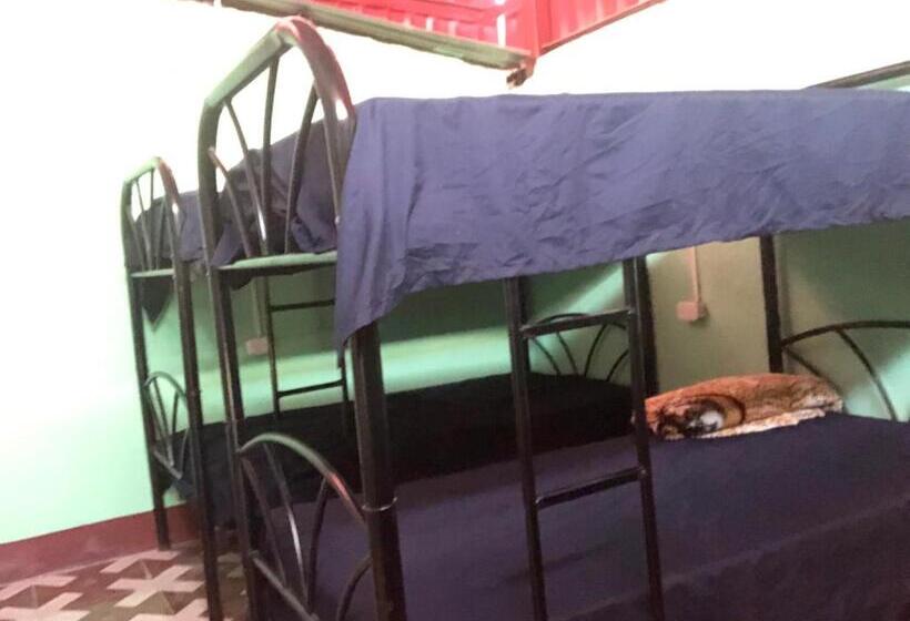 تختخواب در اتاق مشترک, Hostal Sanjuanerita