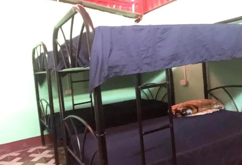 تختخواب در اتاق مشترک, Hostal Sanjuanerita