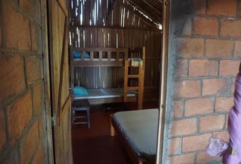 اتاق خانوادگی, Chez Antonio