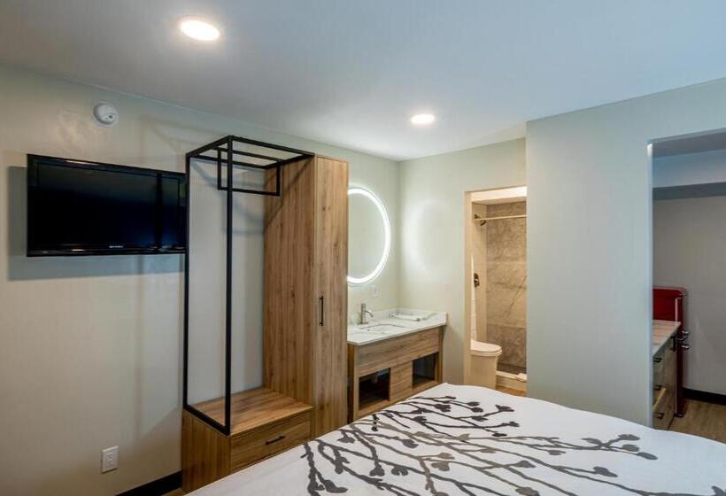 带大床的高级房间, Exclusivo Inn And Suites Near Arlington Stadium