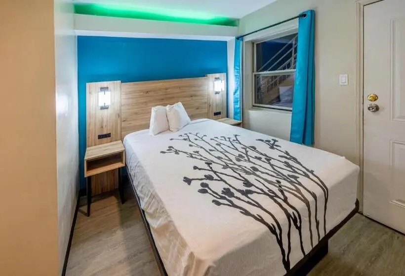 Standard-huone, Exclusivo Inn And Suites Near Arlington Stadium