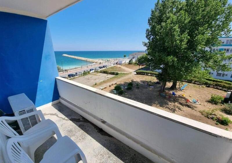 اتاق اکونومی, Excelsior