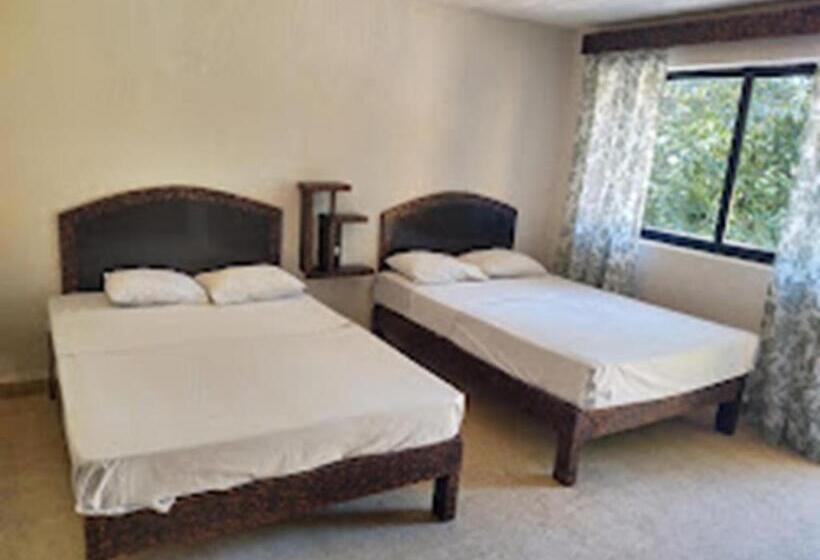 스탠다드 룸, Palacio