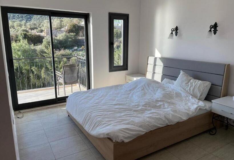 اتاق استاندارد, Deluxe Suit 401