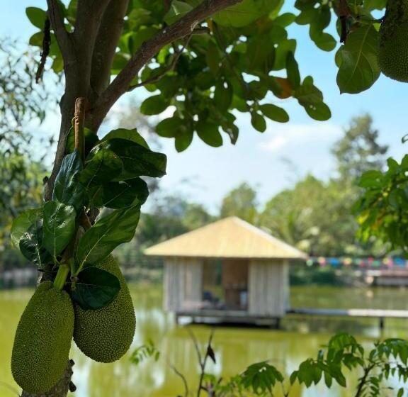 اتاق لوکس, Tina Lakeside Ao đôi Phước Hải