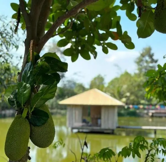 اتاق لوکس, Tina Lakeside   Ao đôi   Phước Hải