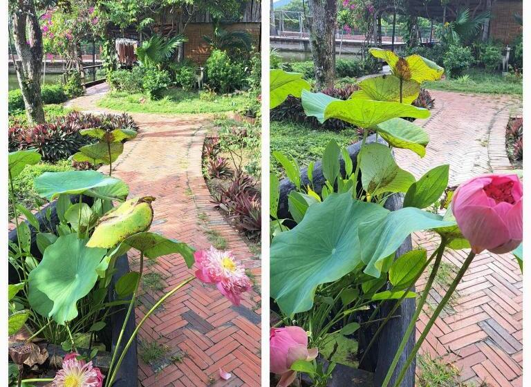 اتاق لوکس چهار تخته, Tina Lakeside Ao đôi Phước Hải