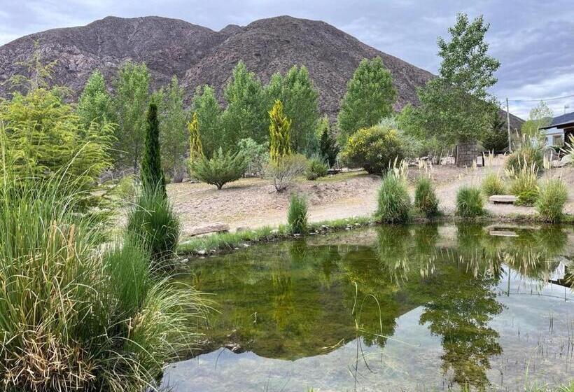 غرفة عائلية, Vivi Potrerillos