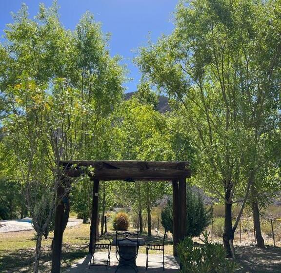 غرفة عائلية, Vivi Potrerillos