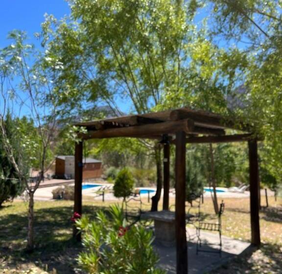 غرفة عائلية, Vivi Potrerillos