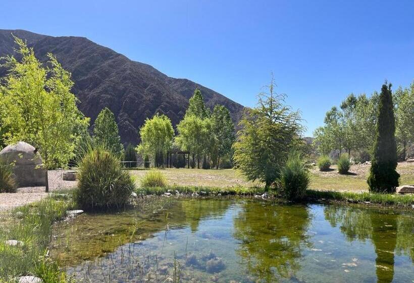 غرفة عائلية, Vivi Potrerillos