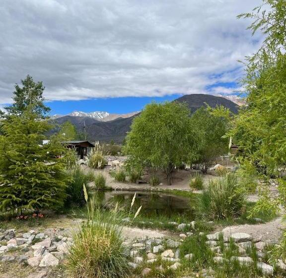 غرفة عائلية, Vivi Potrerillos