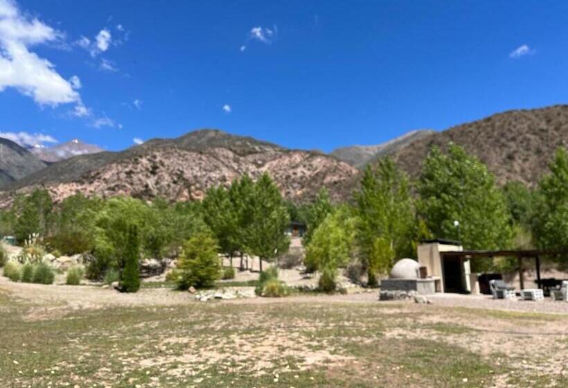 غرفة عائلية, Vivi Potrerillos