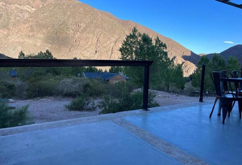 غرفة عائلية, Vivi Potrerillos