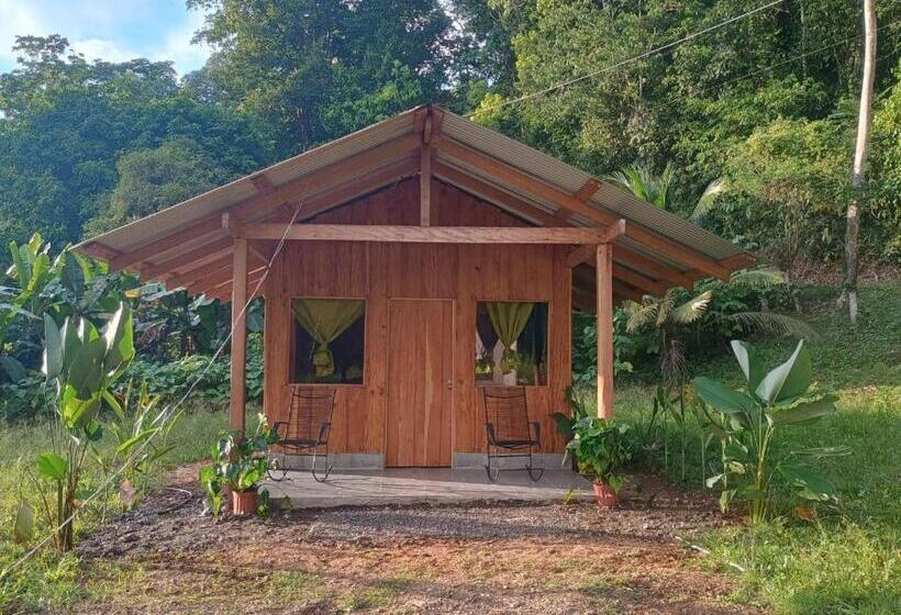 Apartamento 1 Dormitório, Casa Jungla Bahía Drake