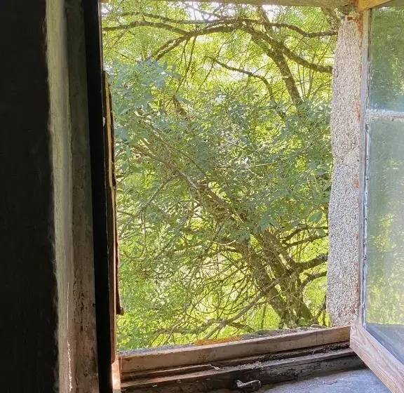 Camera Standard, La Maison Dans La Forêt