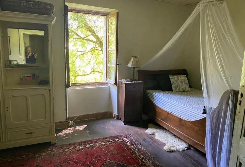 Camera Standard, La Maison Dans La Forêt