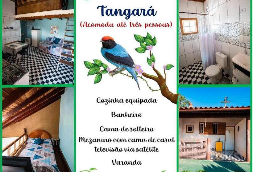 스탠다드 스튜디오, Alameda Galu