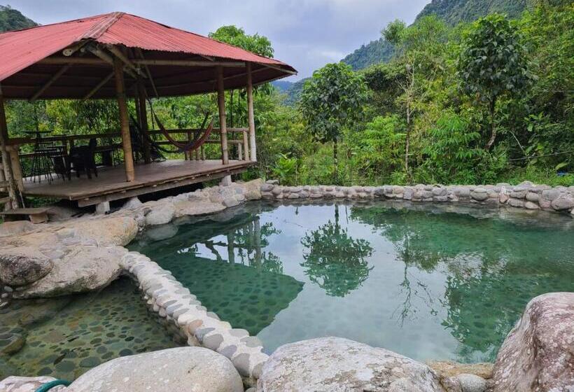 Апартаменты 1 Спальня с Видом, Hostería San Luis Mindo