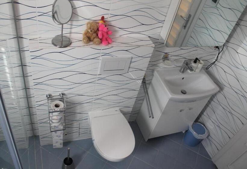 Номер Стандарт Совместная Ванная, Ferienwohnung Mioritza