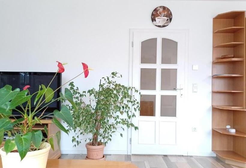 Номер Стандарт Совместная Ванная, Ferienwohnung Mioritza