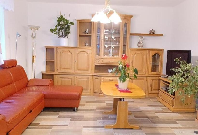 Номер Стандарт Совместная Ванная, Ferienwohnung Mioritza