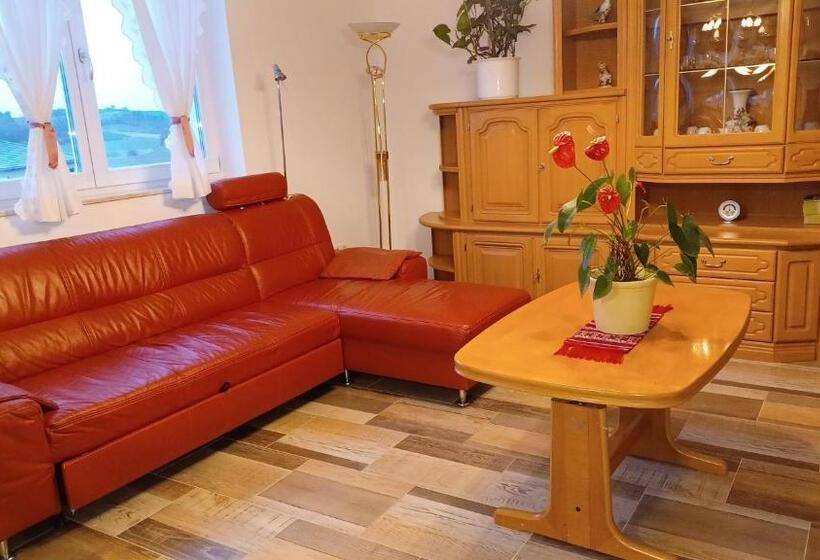 Номер Стандарт, Ferienwohnung Mioritza