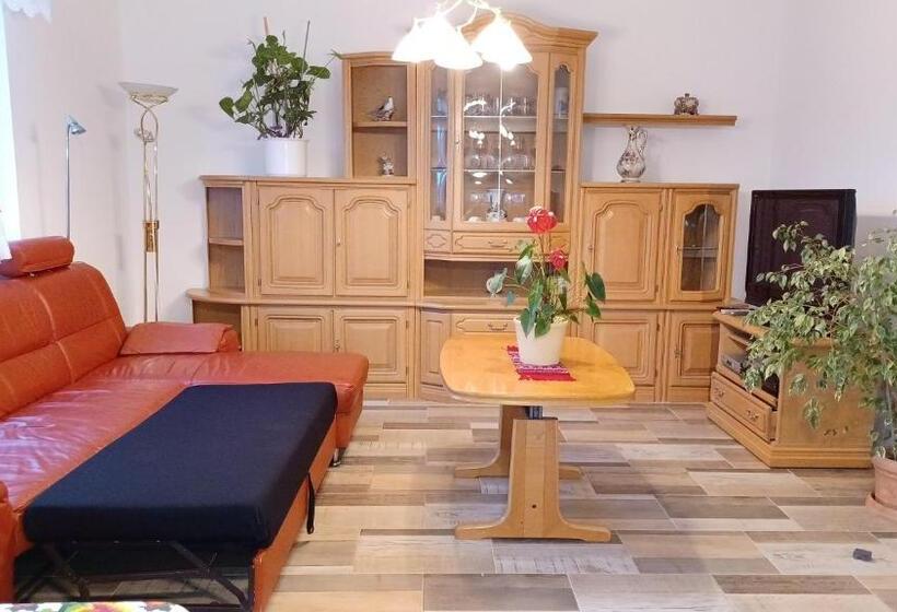 Номер Стандарт Совместная Ванная, Ferienwohnung Mioritza