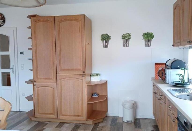 Номер Стандарт Совместная Ванная, Ferienwohnung Mioritza