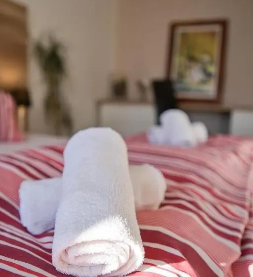 バス共有のスタンダードルーム, Stodolní Apartment