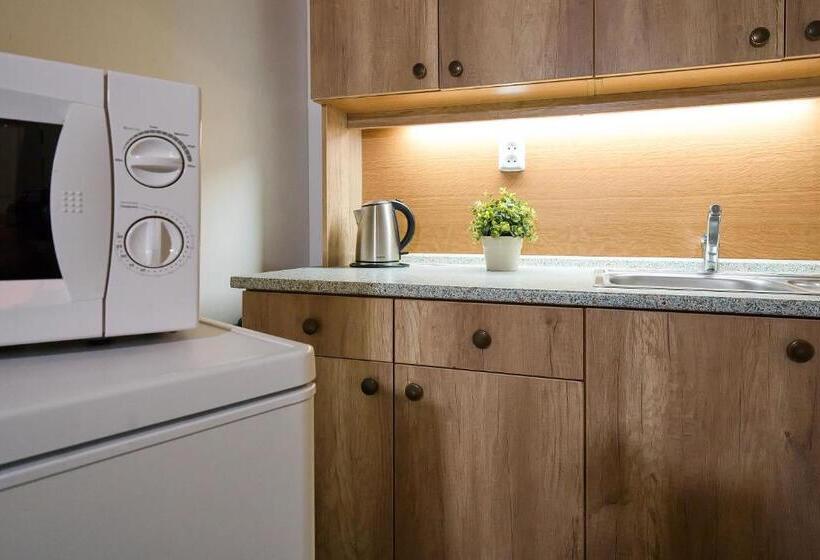 חדר סטנדרט חדר אמבטיה משותף, Stodolní Apartment