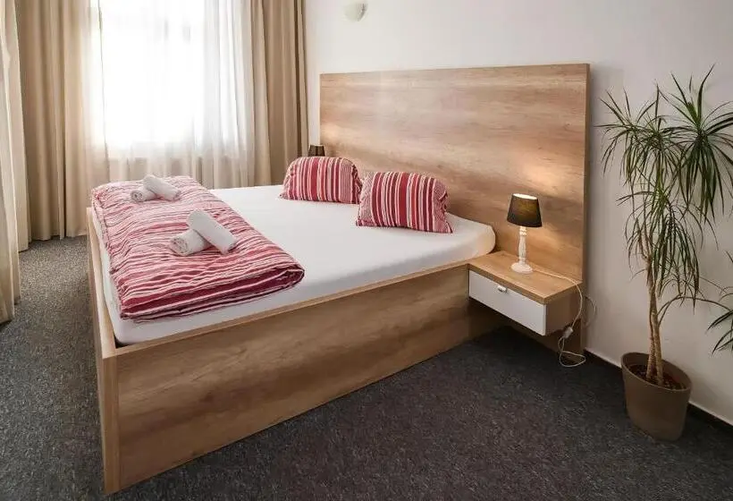 バス共有のスタンダードルーム, Stodolní Apartment