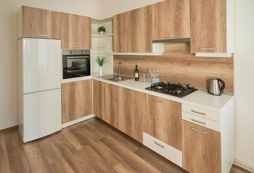 חדר סטנדרטי לארבעה עם חדר אמבטיה משותף, Stodolní Apartment