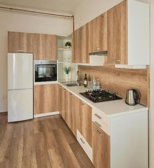 חדר סטנדרט לארבעה, Stodolní Apartment
