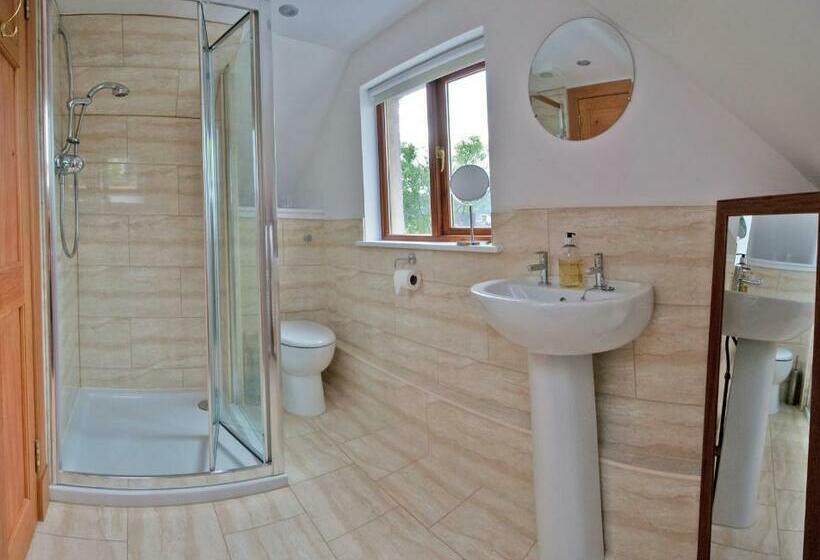 Номер Стандарт, Lugonia