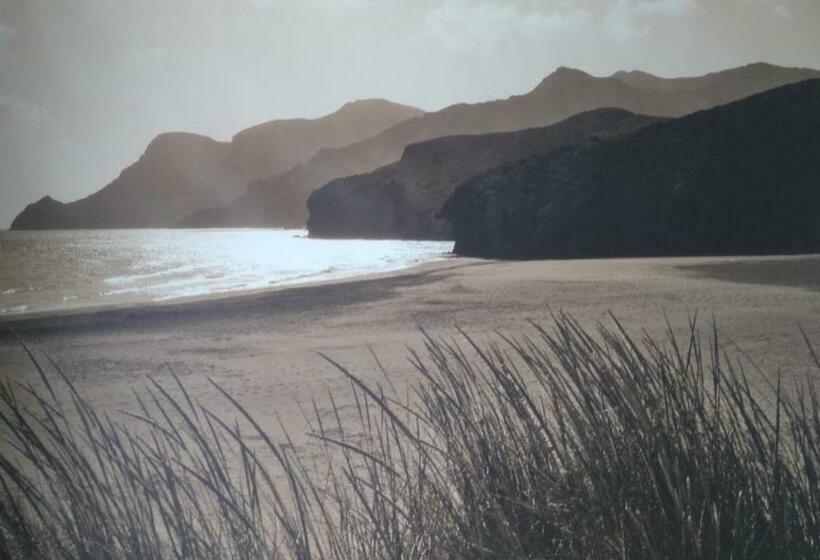 חדר קלאסי, Driftwood B&b Weymouth