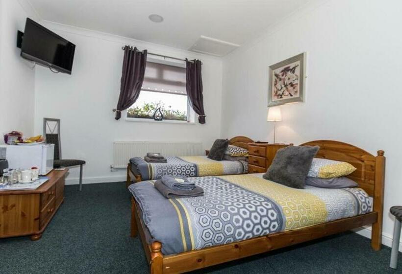 غرفة قياسية, 119