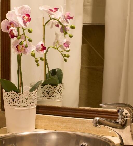 اتاق استاندارد, Mayno