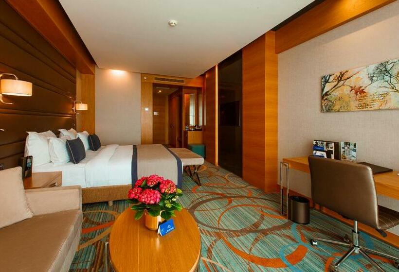 اتاق لوکس, Movenpick Winter Park Baku