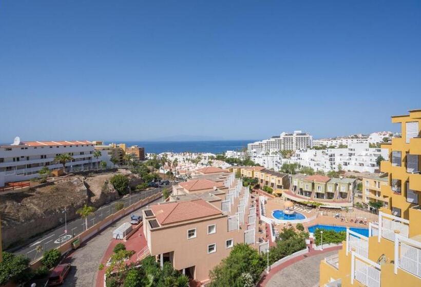 Студия Стандарт, Orlando 85 Complex   Costa Adeje