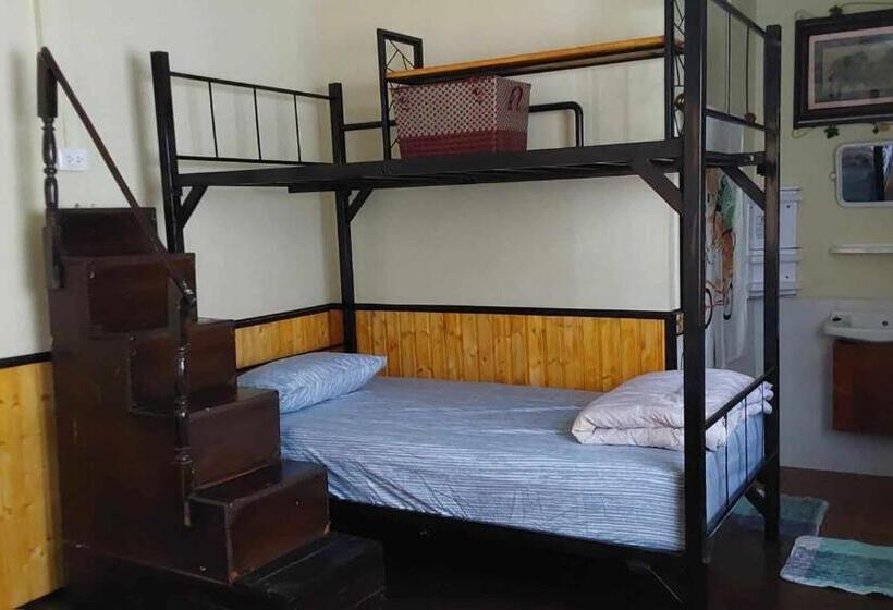 Номер Стандарт, V House