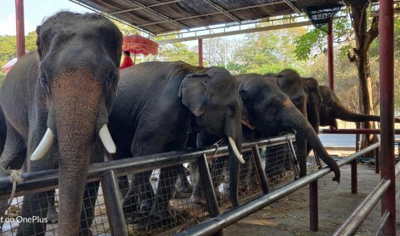 Номер Стандарт с Балконом, V House