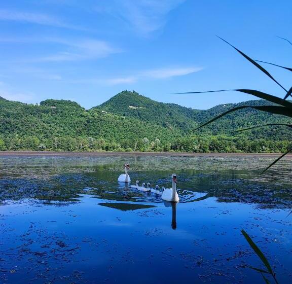 标准房带园景, Ca  Dei Berici