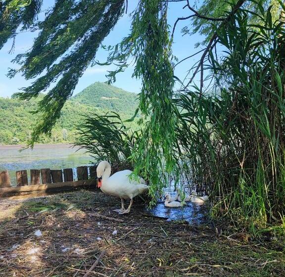 标准房带园景, Ca  Dei Berici