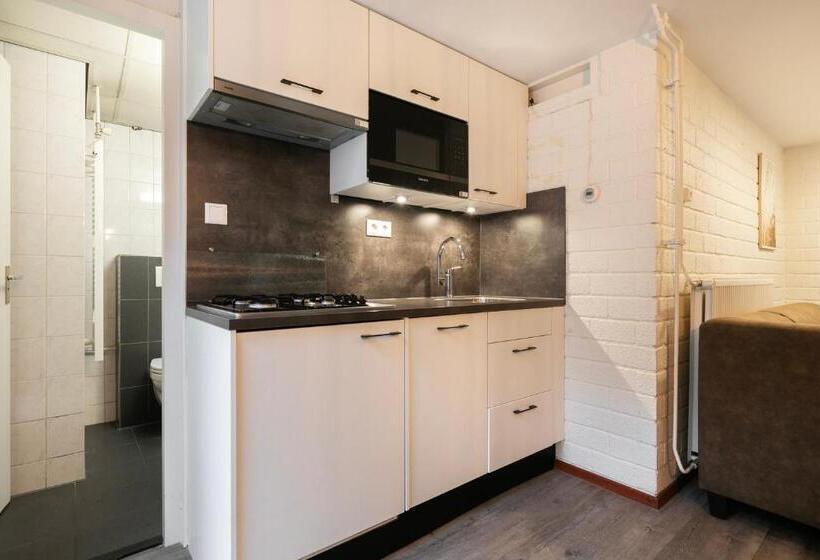 بنجلو قياسى, Summio Parc De Berkenhorst