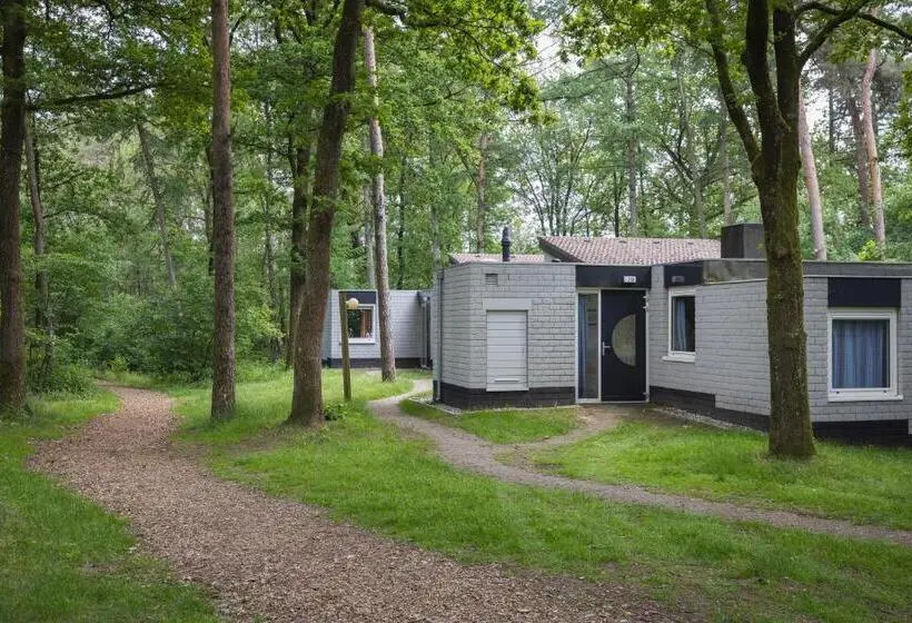 スタンダードバンガロー, Summio Parc De Berkenhorst