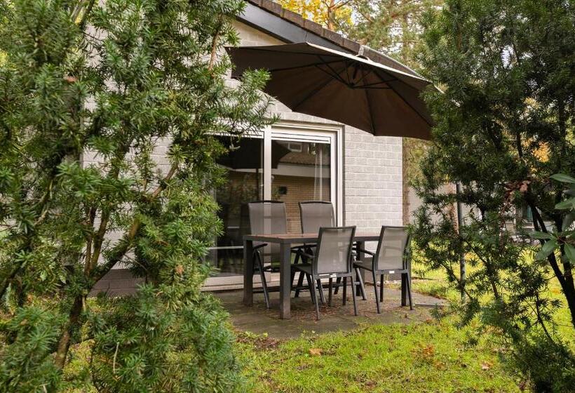 بنجلو ديلوكس, Summio Parc De Berkenhorst