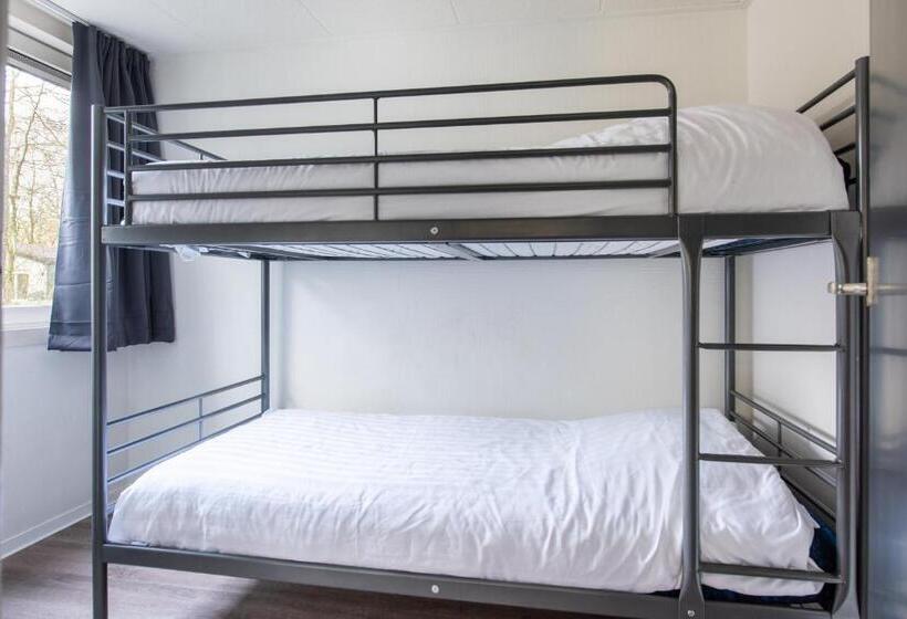 بنجلو عائلى, Summio Parc De Berkenhorst