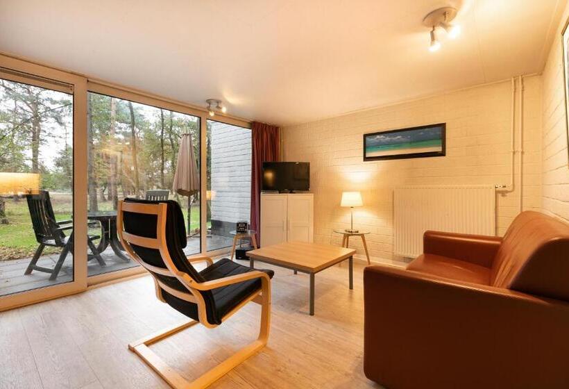 بنجلو قياسى, Summio Parc De Berkenhorst