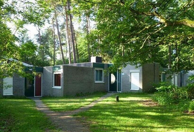 Бунгало Стандарт, Summio Parc De Berkenhorst